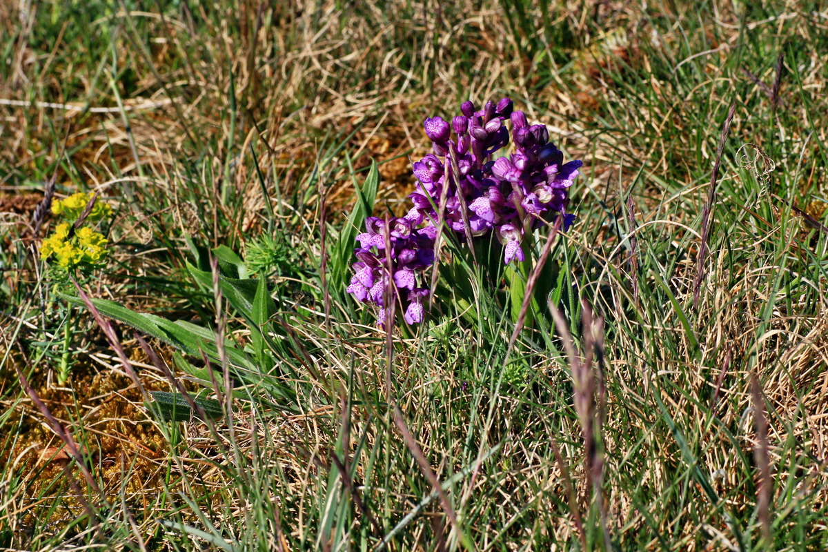 2015_04_23_00017745p_Bildgr��e �ndern