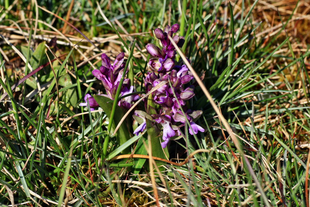 2015_04_23_00017747p_Bildgr��e �ndern