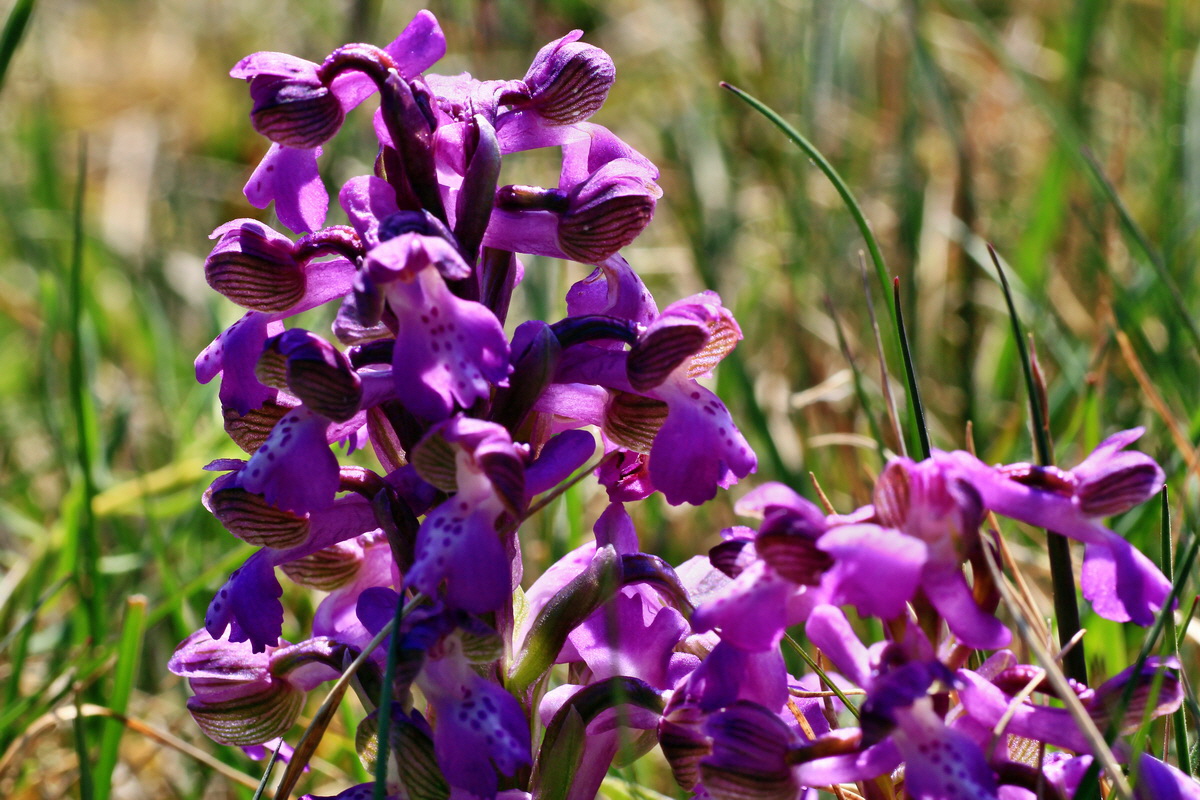 2015_04_23_00017750p_Bildgr��e �ndern