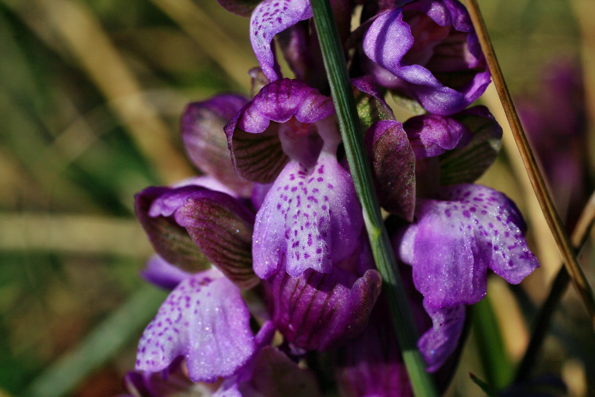 2015_04_23_00017753p_Bildgr��e �ndern