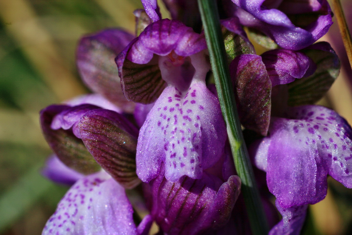 2015_04_23_00017755p_Bildgr��e �ndern