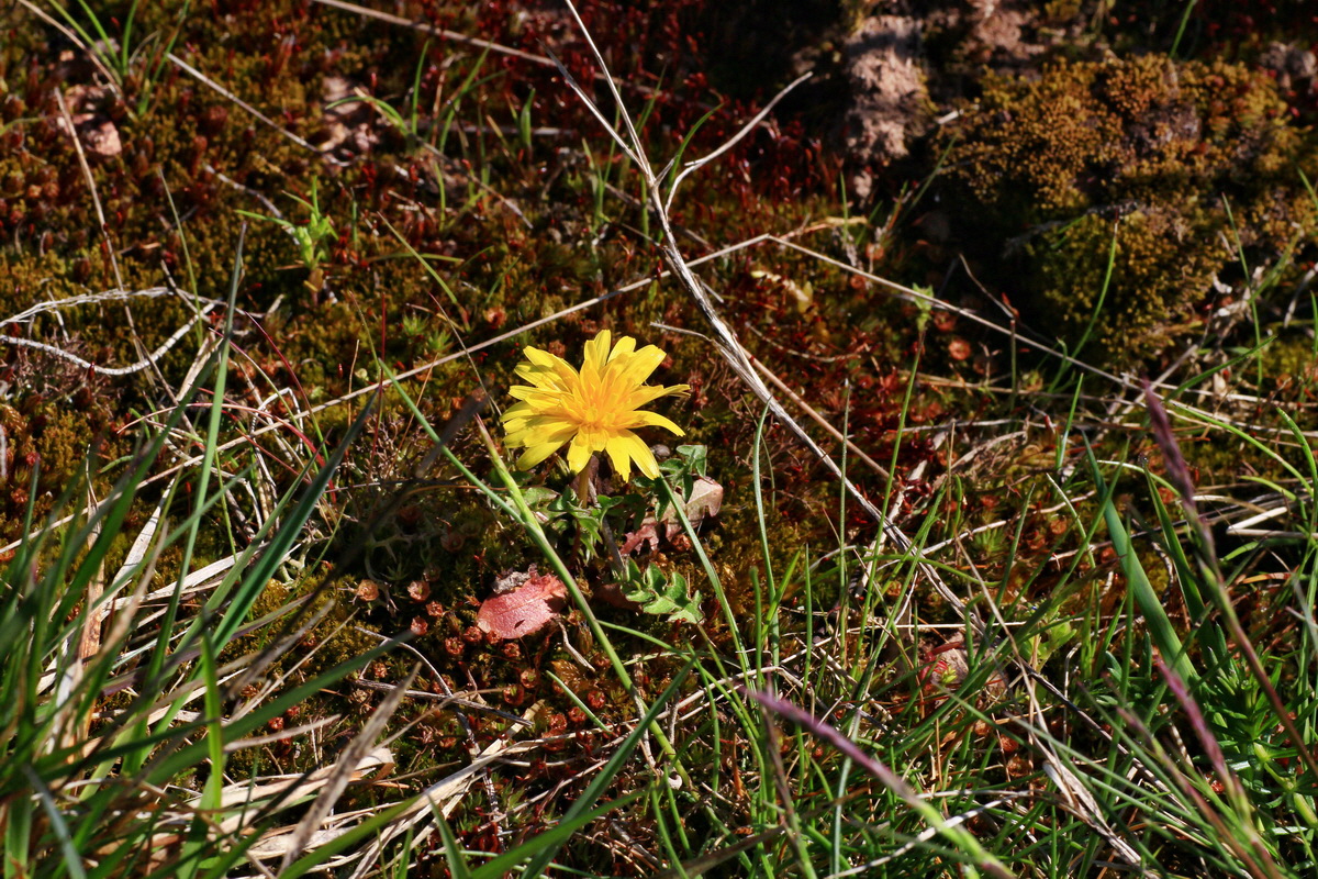 2015_04_23_00017760p_Bildgr��e �ndern