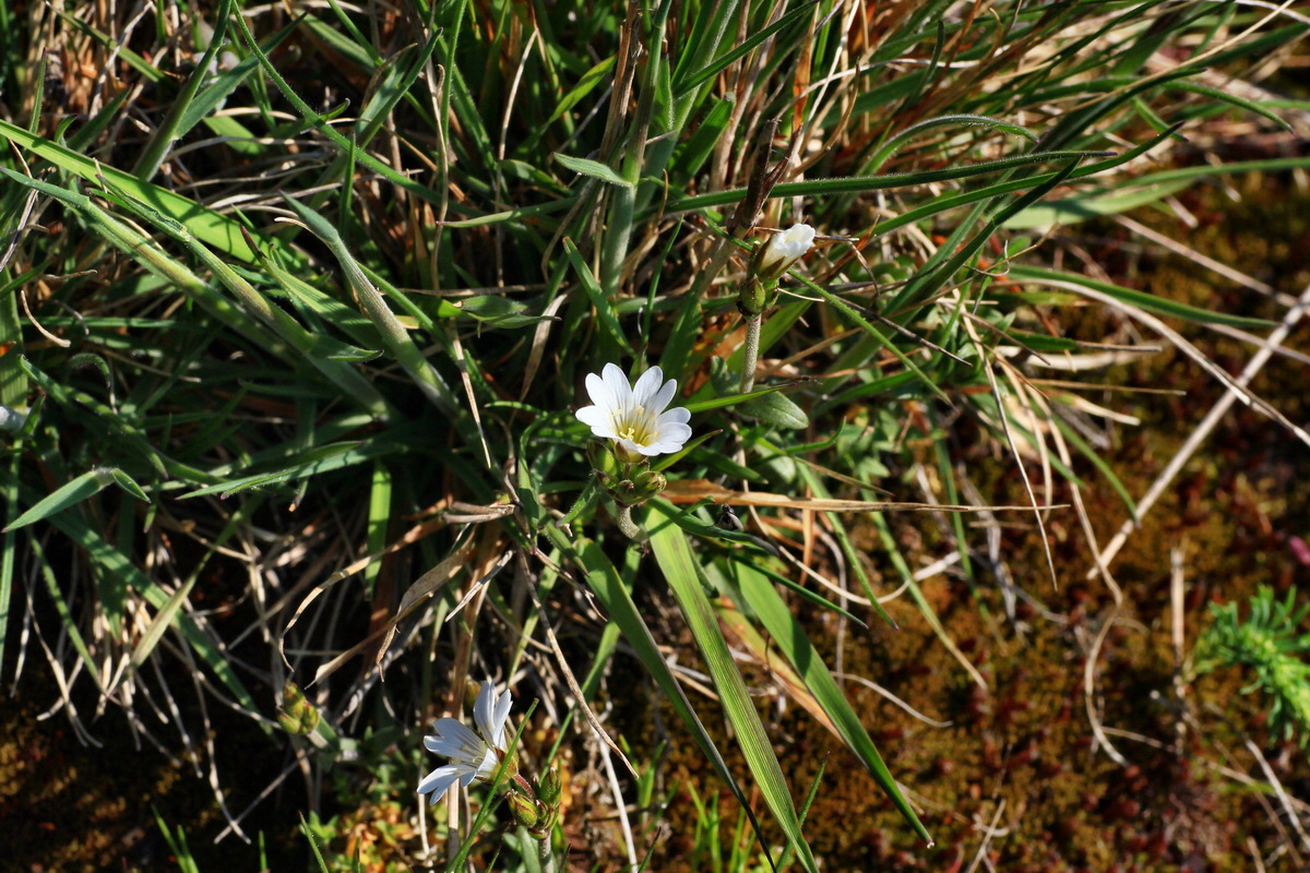 2015_04_23_00017764p_Bildgr��e �ndern