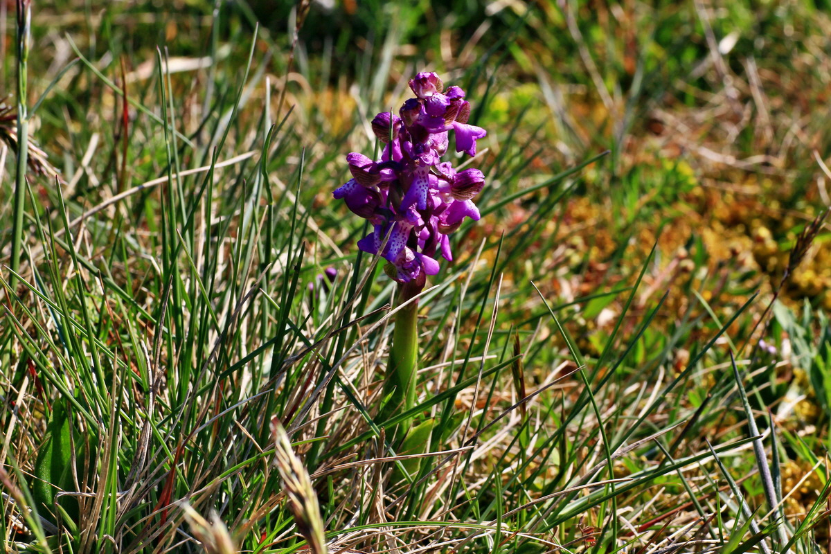 2015_04_23_00017765p_Bildgr��e �ndern