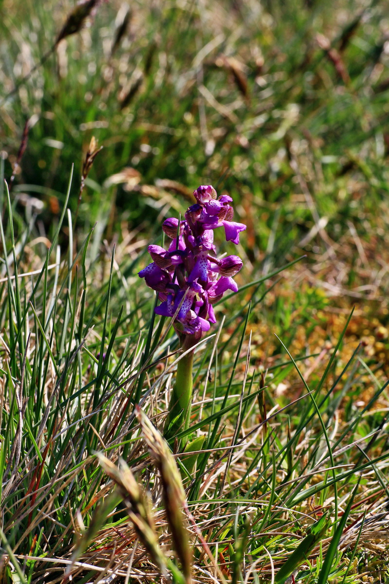 2015_04_23_00017766p_Bildgr��e �ndern