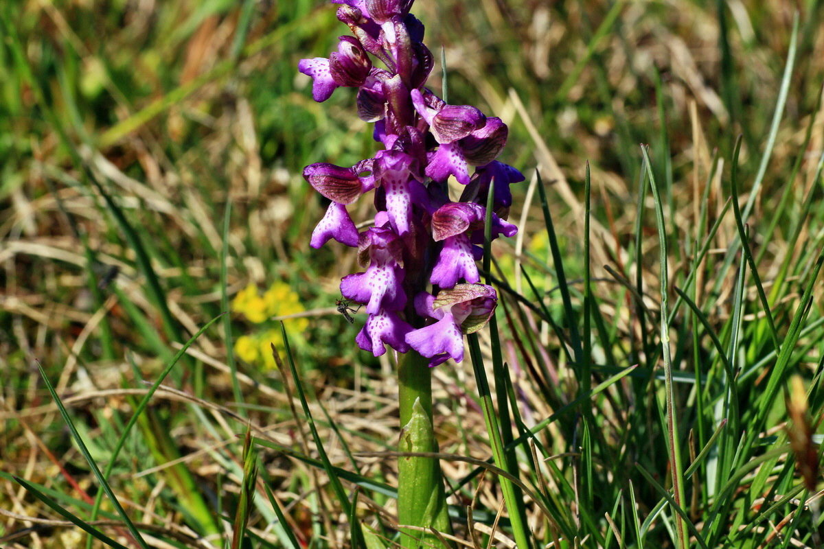 2015_04_23_00017769p_Bildgr��e �ndern