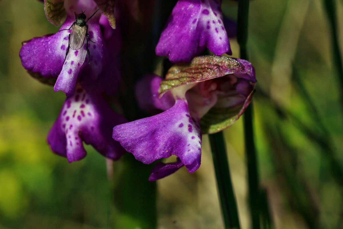 2015_04_23_00017770p_Bildgr��e �ndern