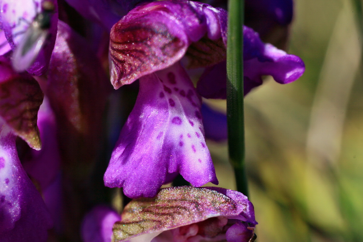 2015_04_23_00017772p_Bildgr��e �ndern