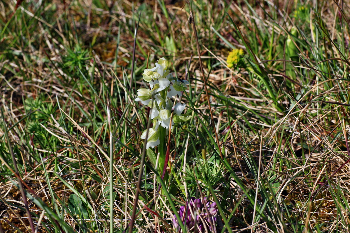 2015_04_23_00017776p_Bildgr��e �ndern