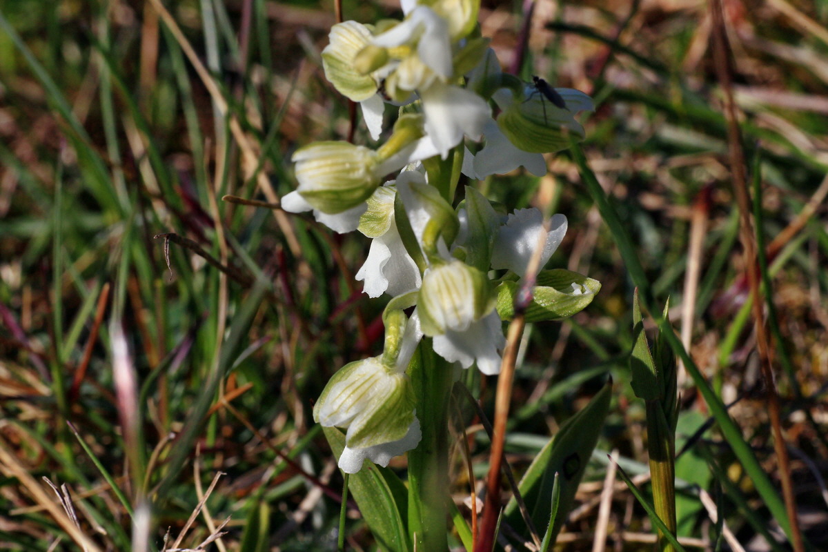 2015_04_23_00017778p_Bildgr��e �ndern