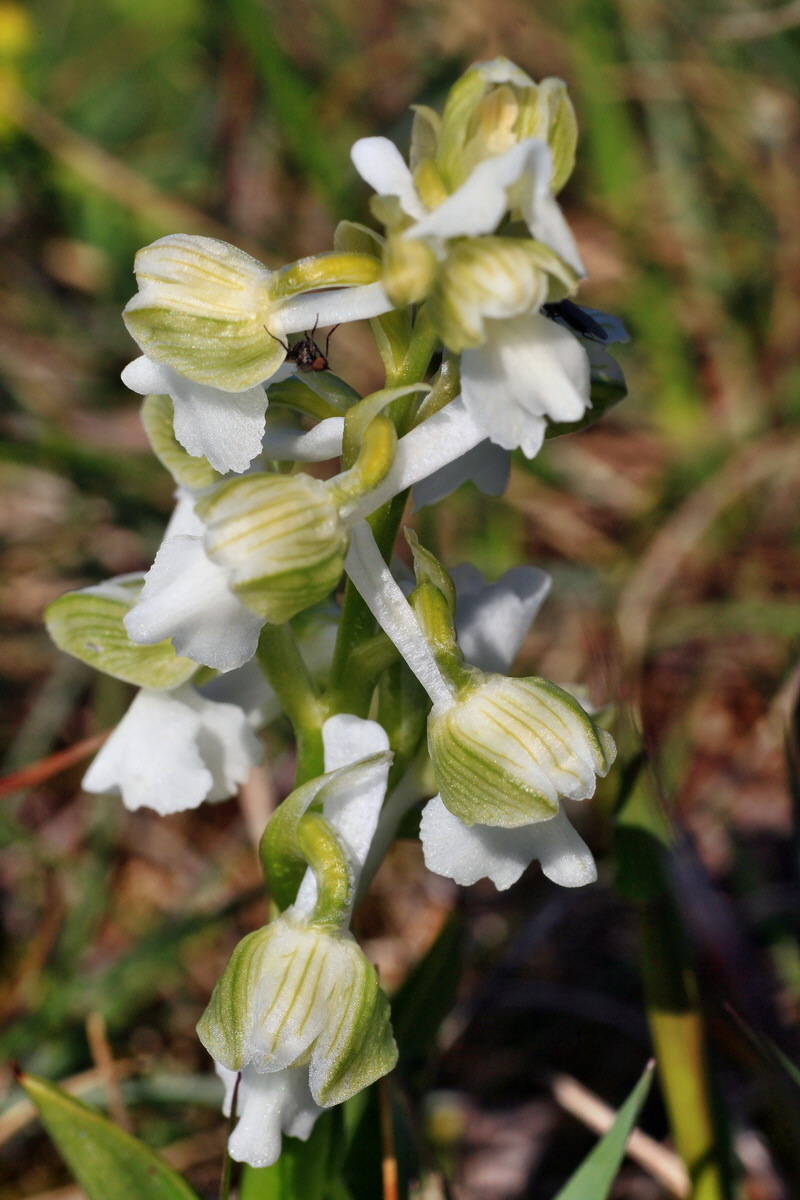 2015_04_23_00017780p_Bildgr��e �ndern