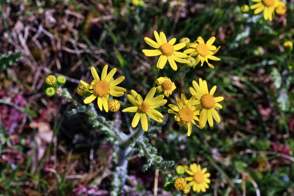 2015_04_23_00017785p_Bildgr��e �ndern