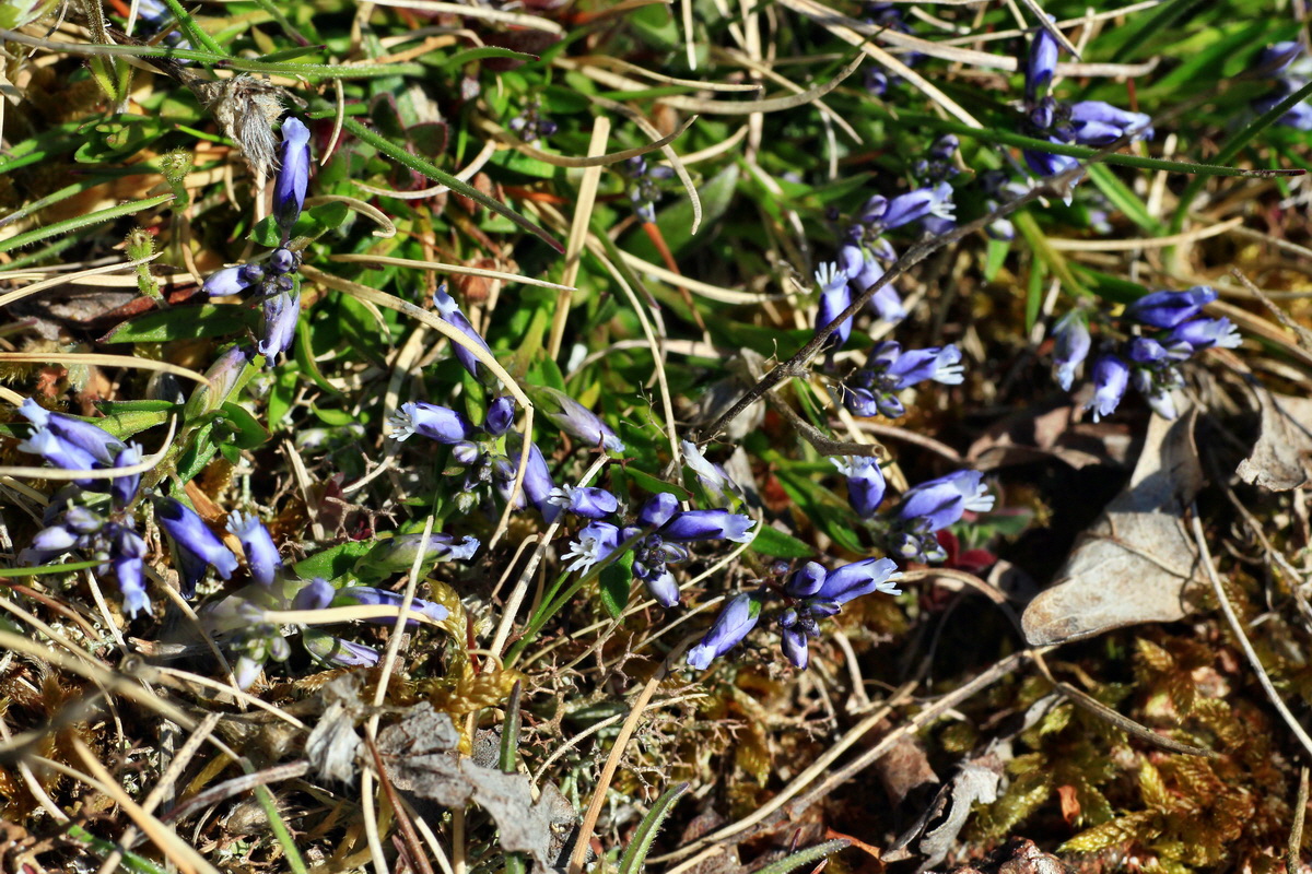 2015_04_23_00017789p_Bildgr��e �ndern