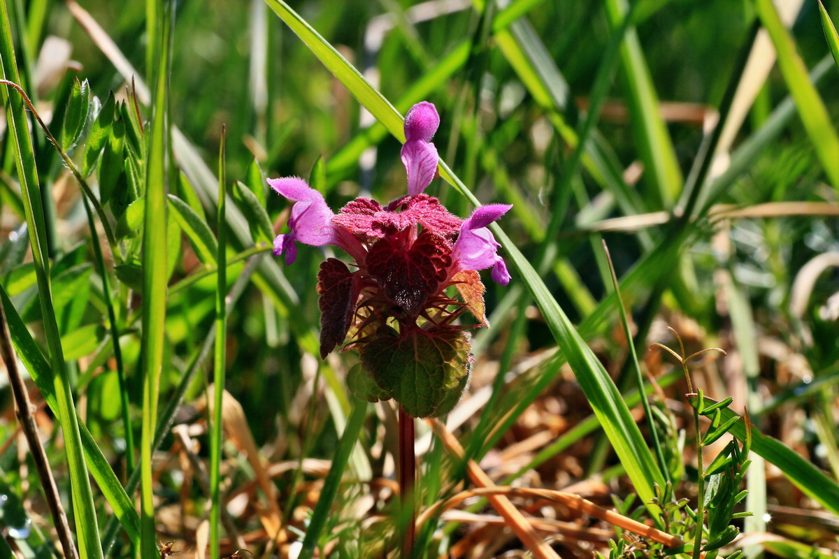 2015_04_23_00017791p_Bildgr��e �ndern