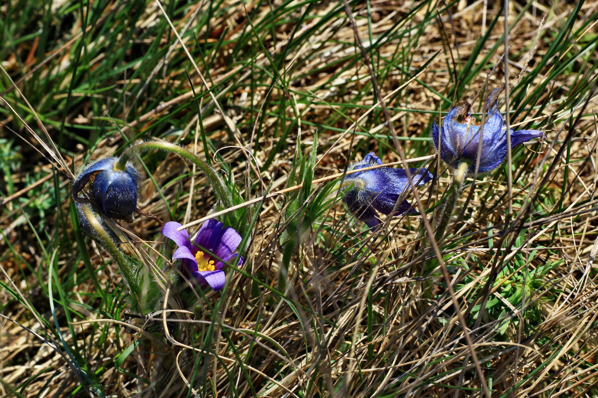 2015_04_23_00017799p_Bildgr��e �ndern