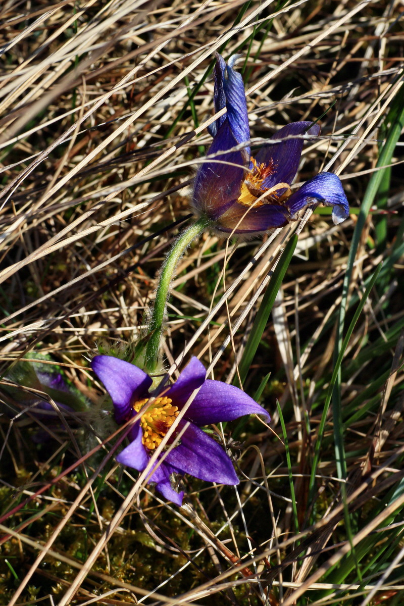 2015_04_23_00017804p_Bildgr��e �ndern