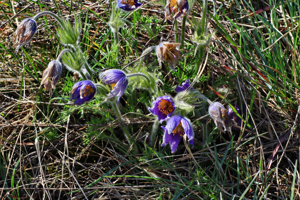 2015_04_23_00017805p_Bildgr��e �ndern