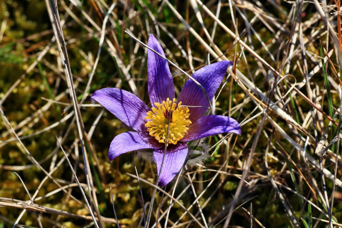 2015_04_23_00017809p_Bildgr��e �ndern