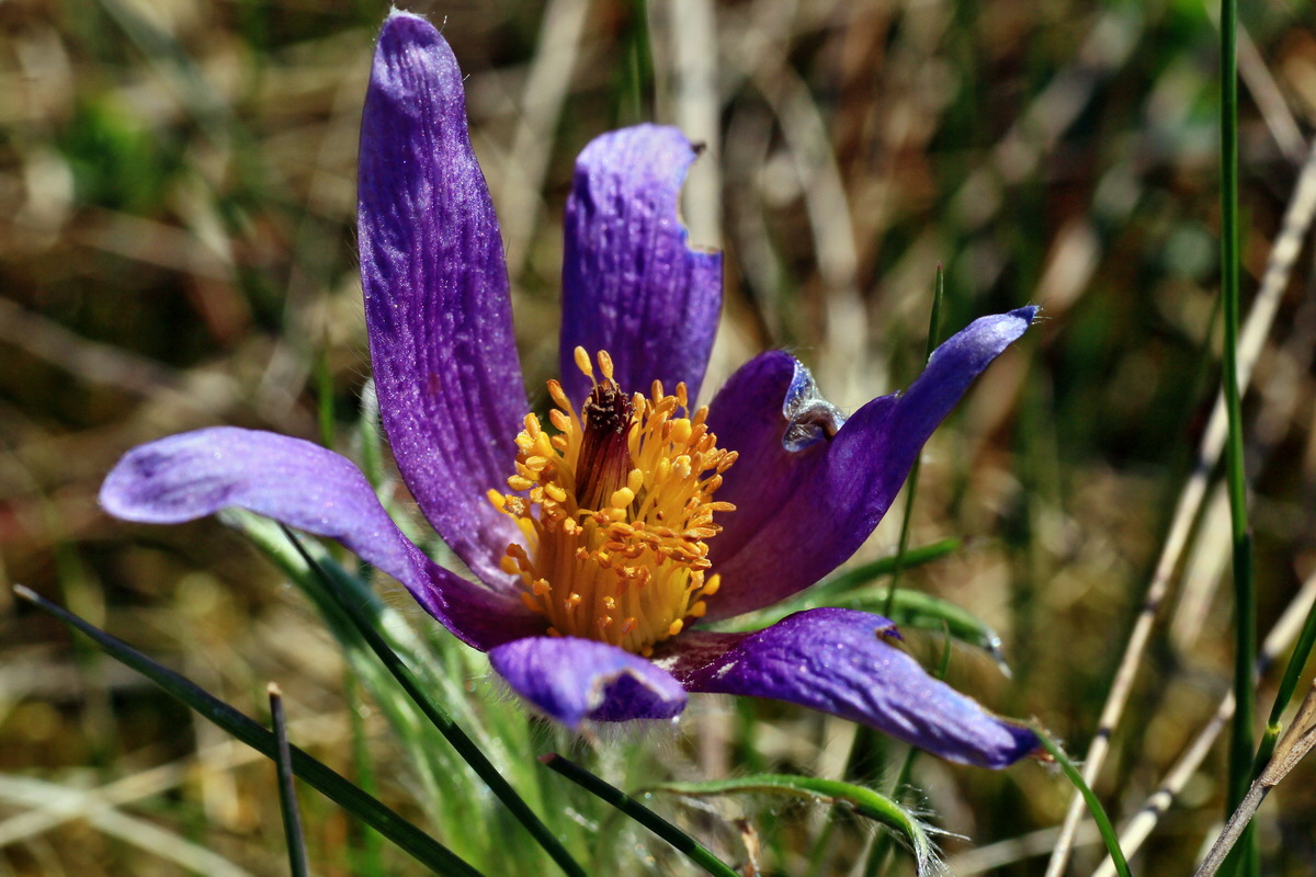 2015_04_23_00017816p_Bildgr��e �ndern