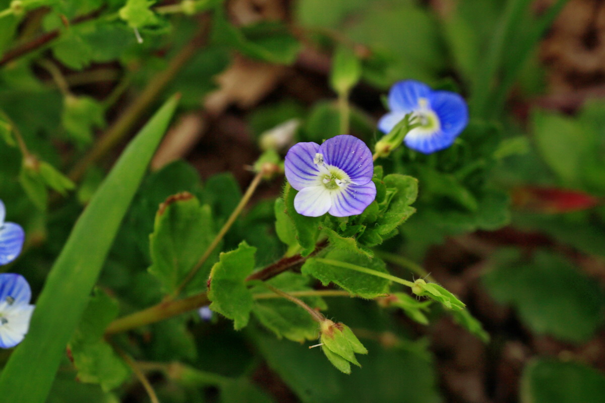 2015_04_25_00017851p_Bildgr��e �ndern