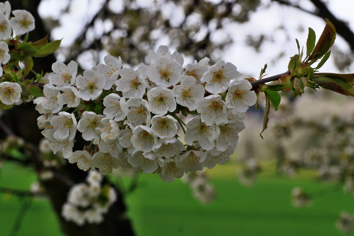 2015_04_25_00017855p_Bildgr��e �ndern