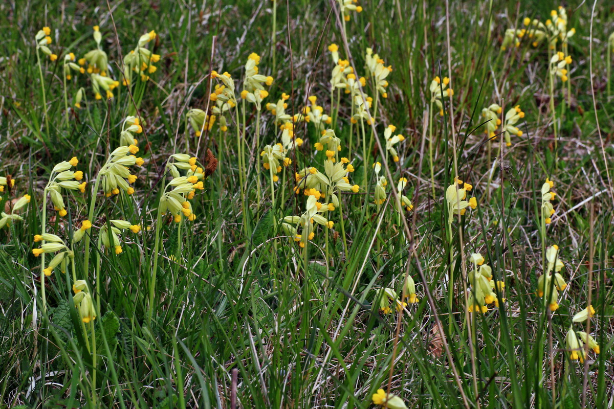 2015_04_25_00017873p_Bildgr��e �ndern