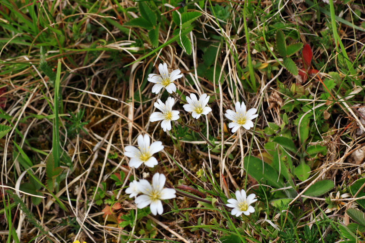 2015_04_25_00017877p_Bildgr��e �ndern