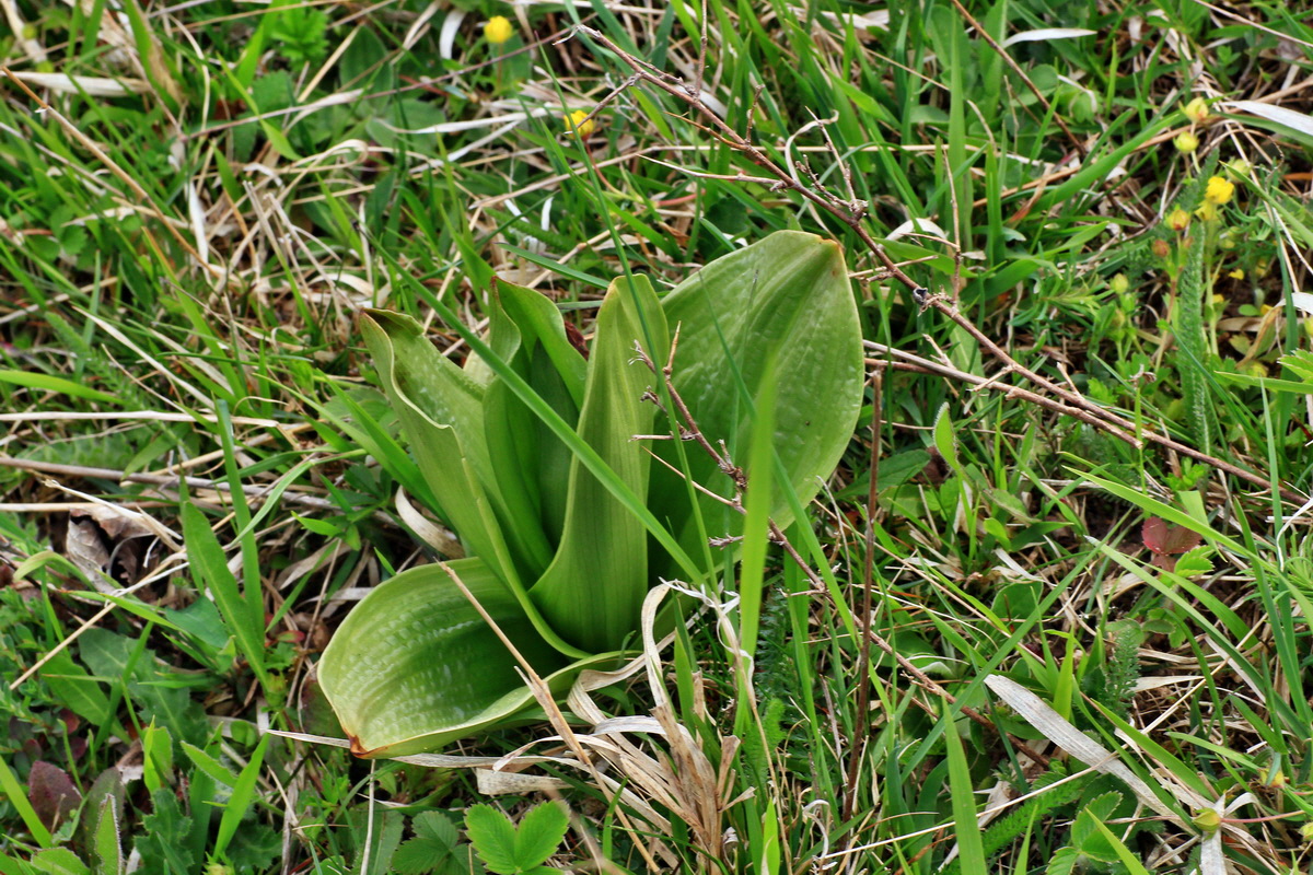 2015_04_25_00017881p_Bildgr��e �ndern