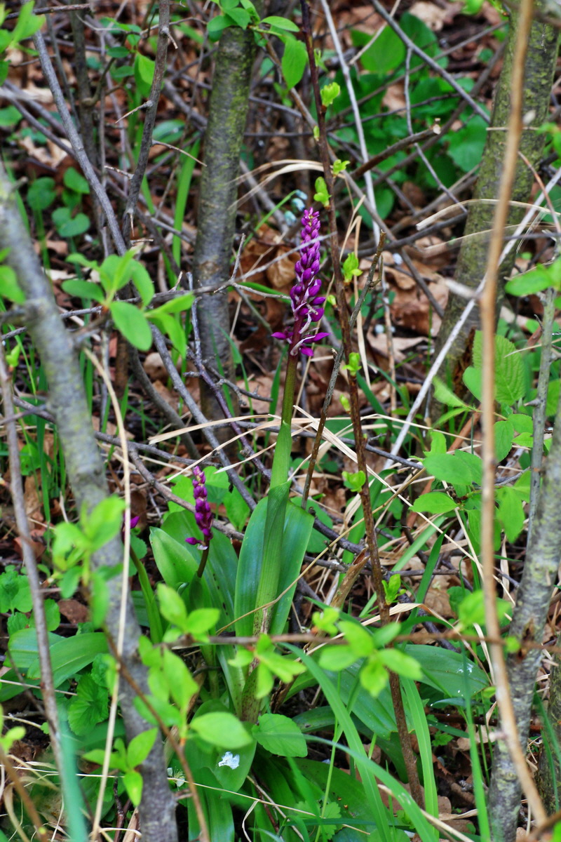 2015_04_25_00017884p_Bildgr��e �ndern