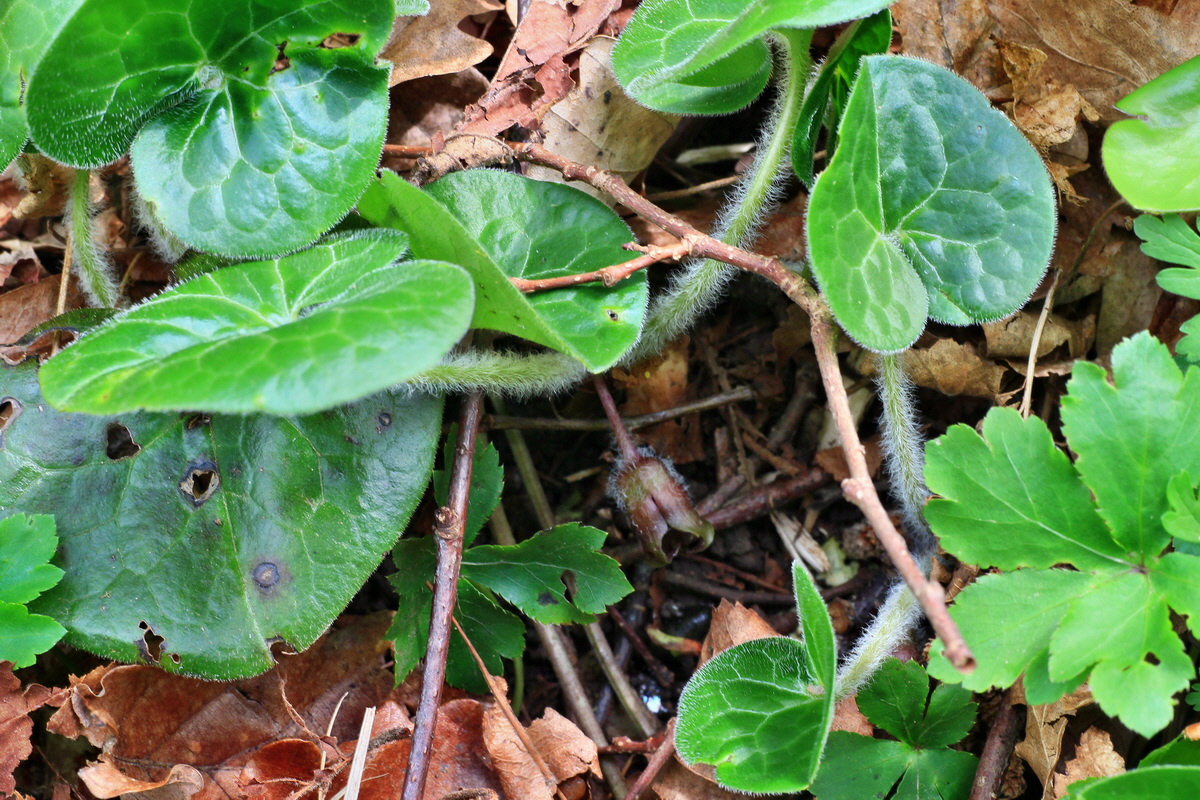 2015_04_25_00017899p_Bildgr��e �ndern