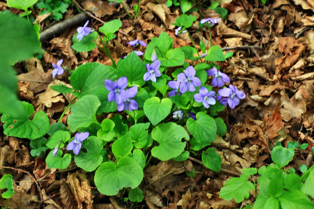 2015_04_25_00017902p_Bildgr��e �ndern