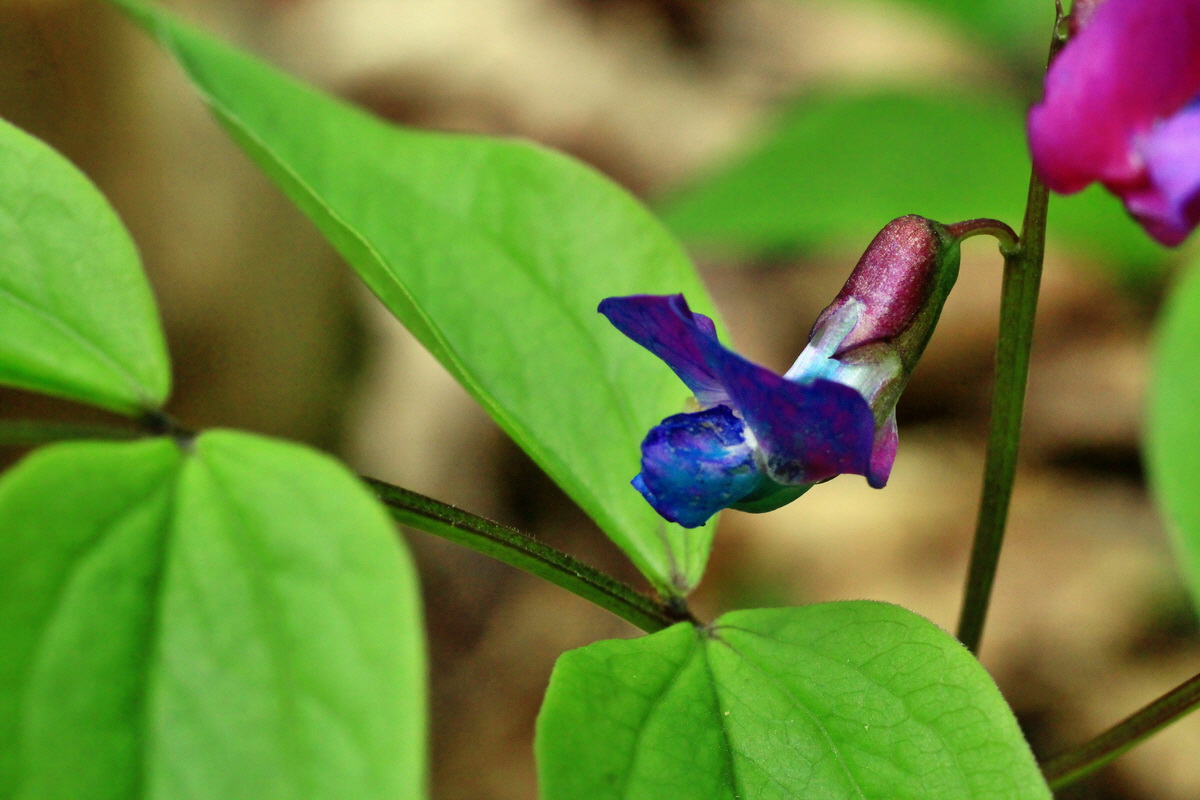 2015_04_25_00017907p_Bildgr��e �ndern