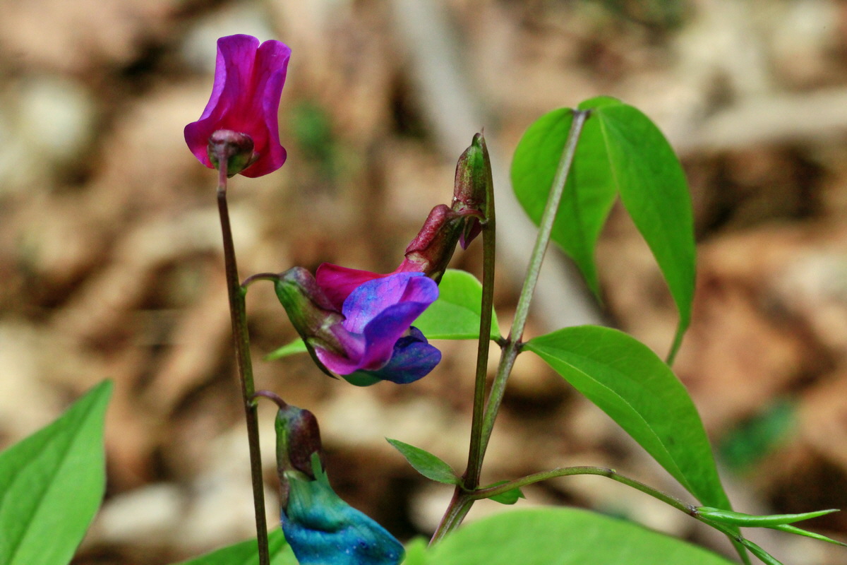 2015_04_25_00017909p_Bildgr��e �ndern