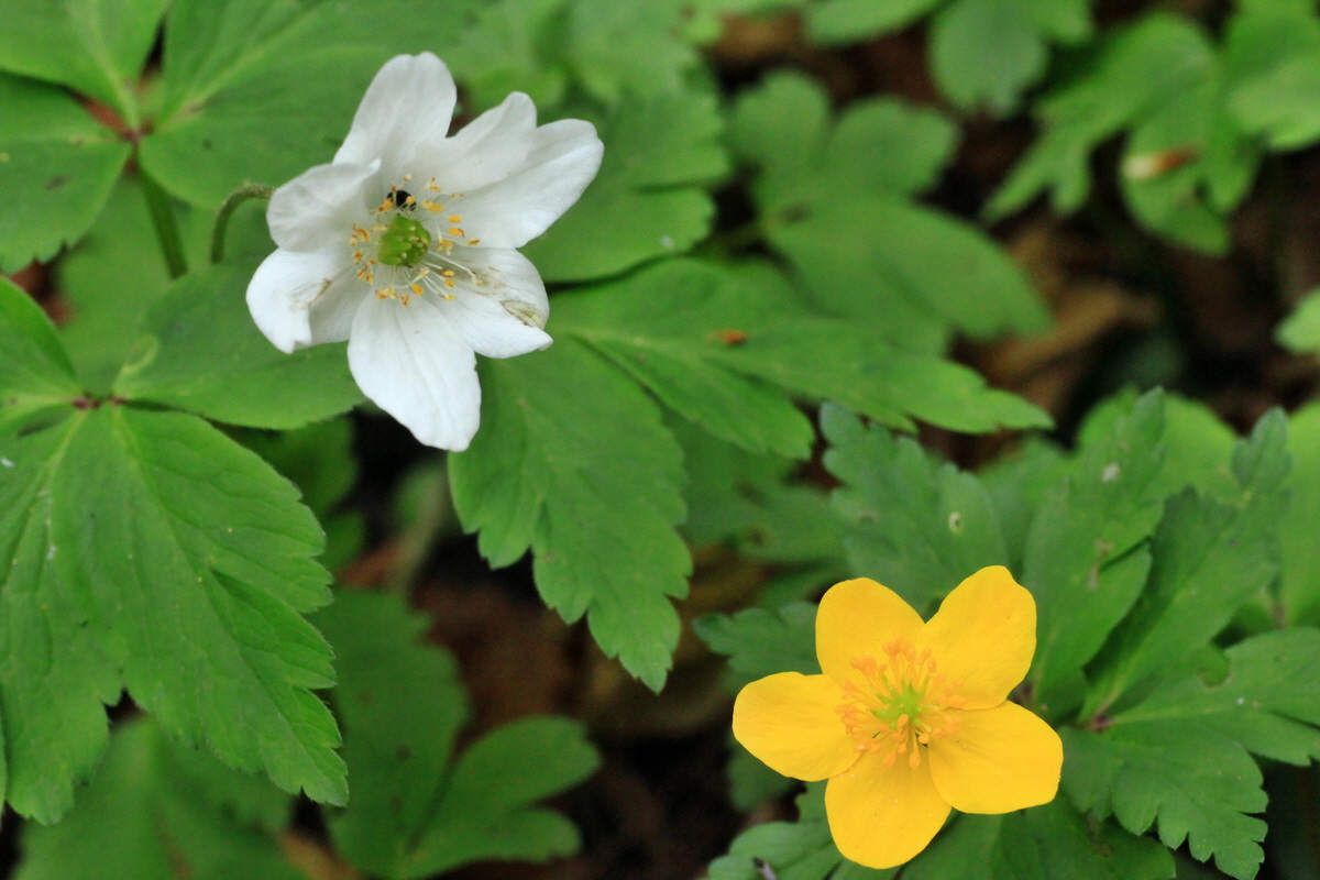 2015_04_25_00017913p_Bildgr��e �ndern