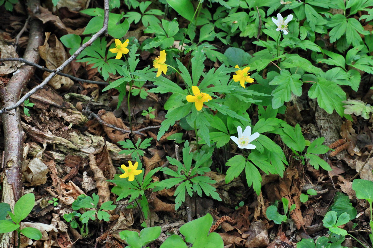 2015_04_25_00017917p_Bildgr��e �ndern