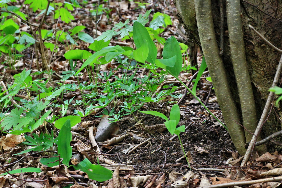 2015_04_25_00017920p_Bildgr��e �ndern