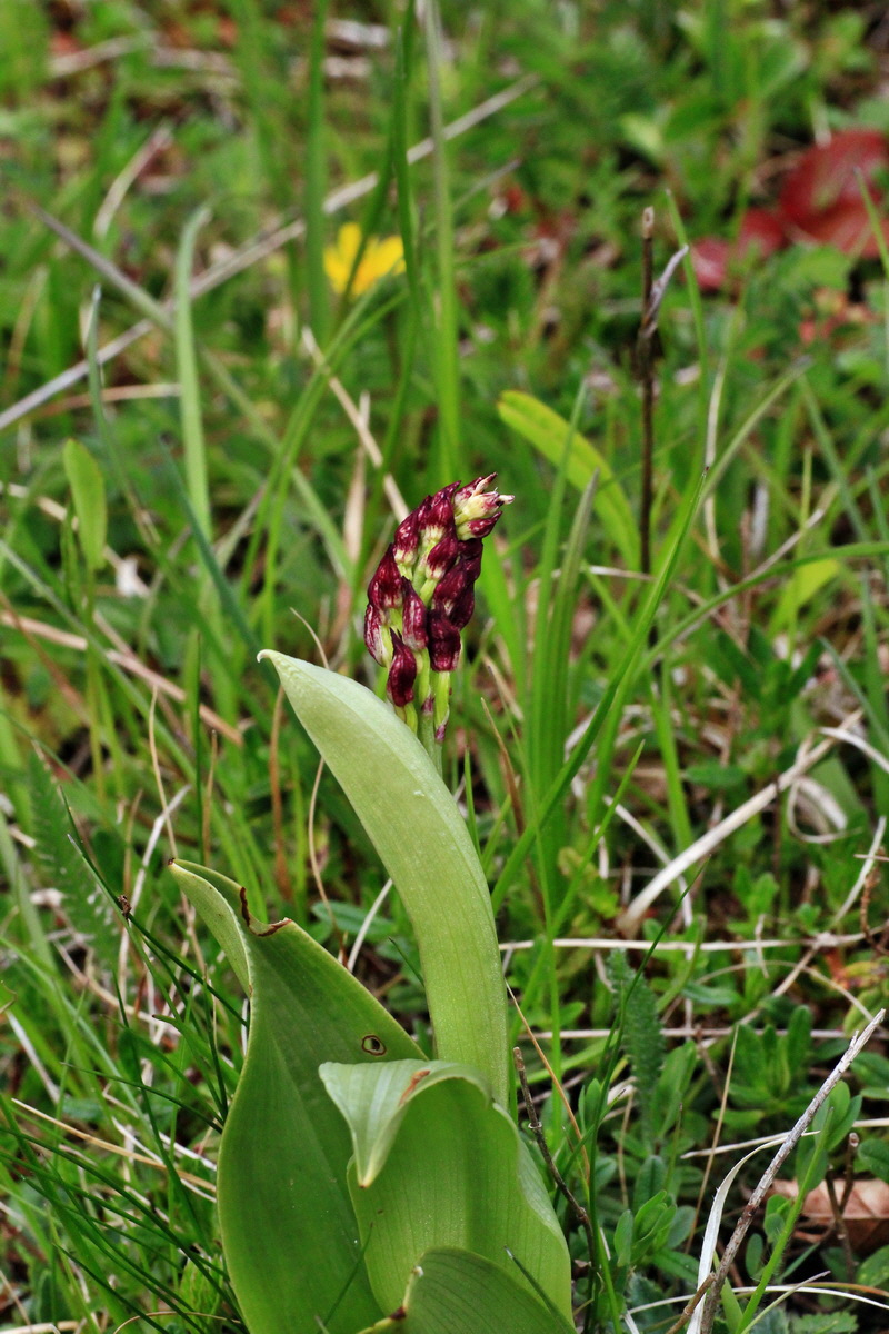 2015_04_25_00017924p_Bildgr��e �ndern