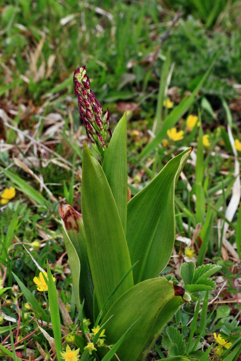 2015_04_25_00017926p_Bildgr��e �ndern