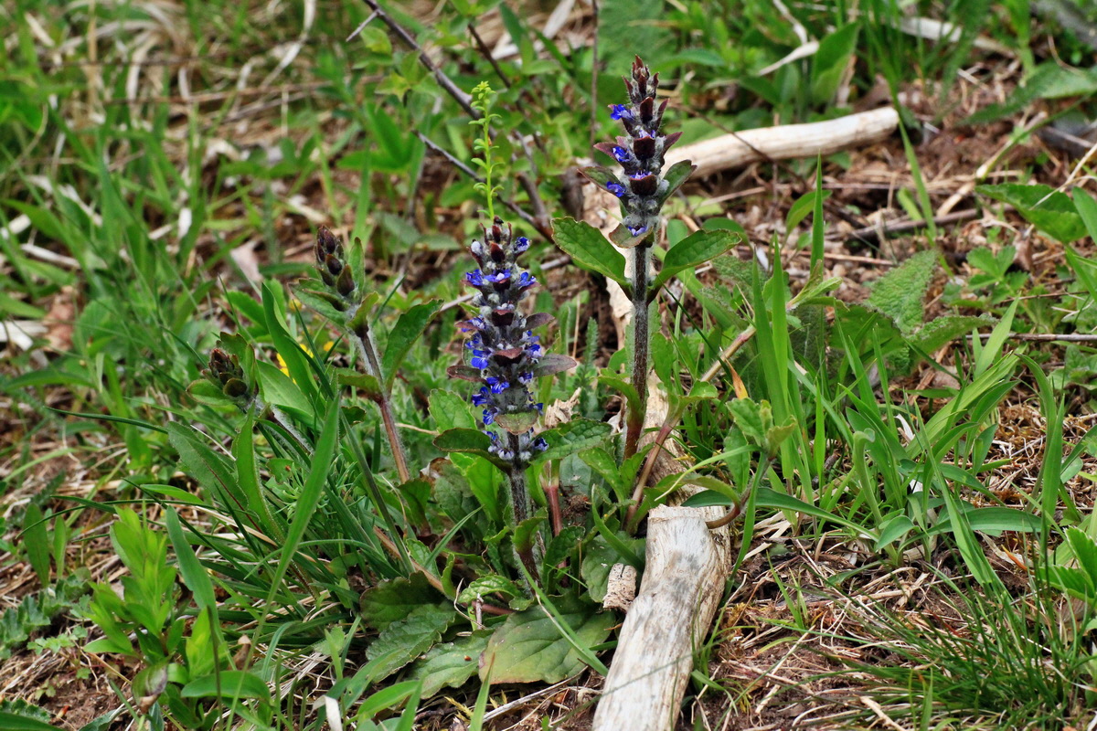 2015_04_25_00017930p_Bildgr��e �ndern