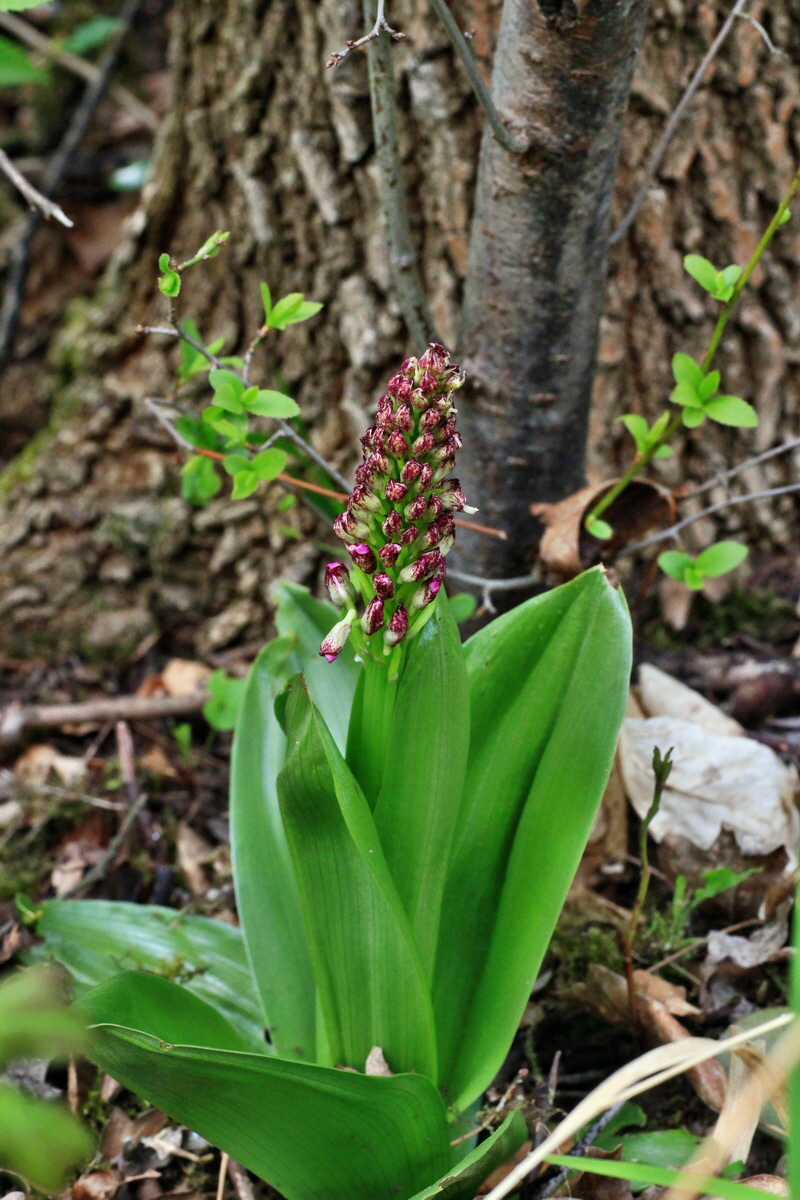 2015_04_25_00017933p_Bildgr��e �ndern