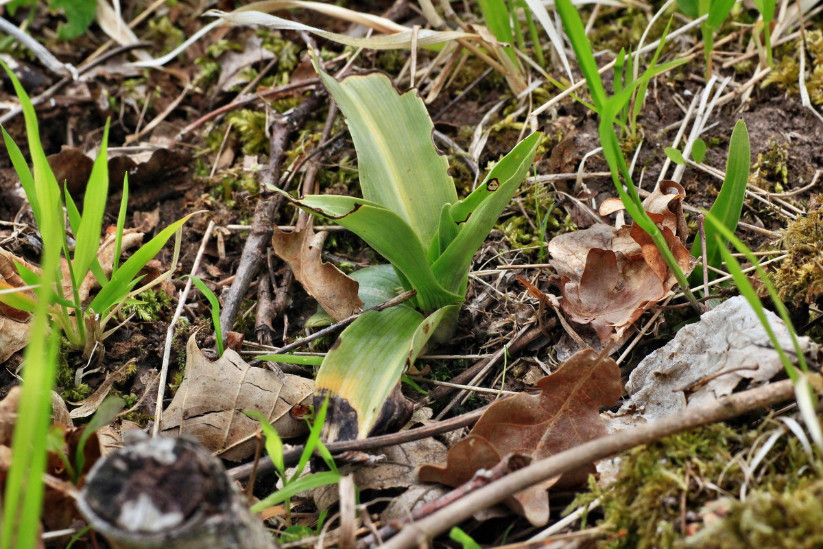 2015_04_25_00017934p_Bildgr��e �ndern