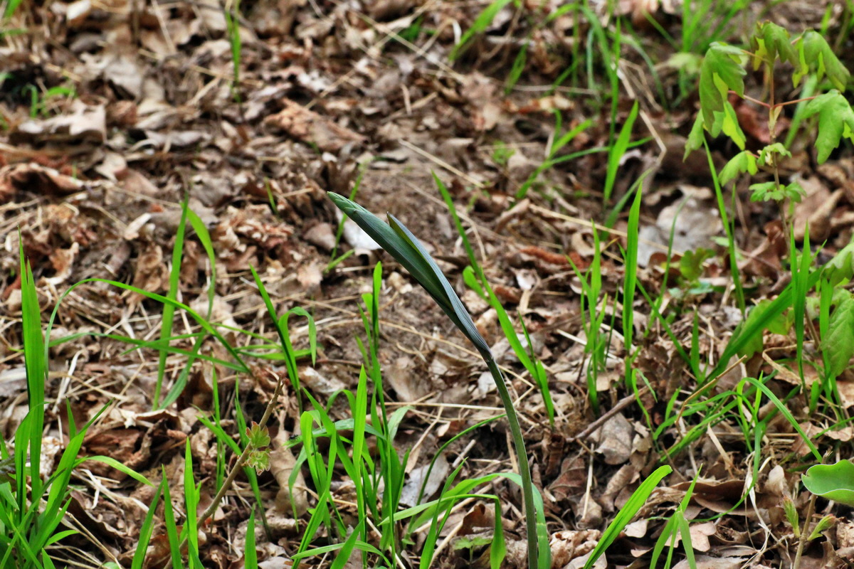 2015_04_25_00017938p_Bildgr��e �ndern