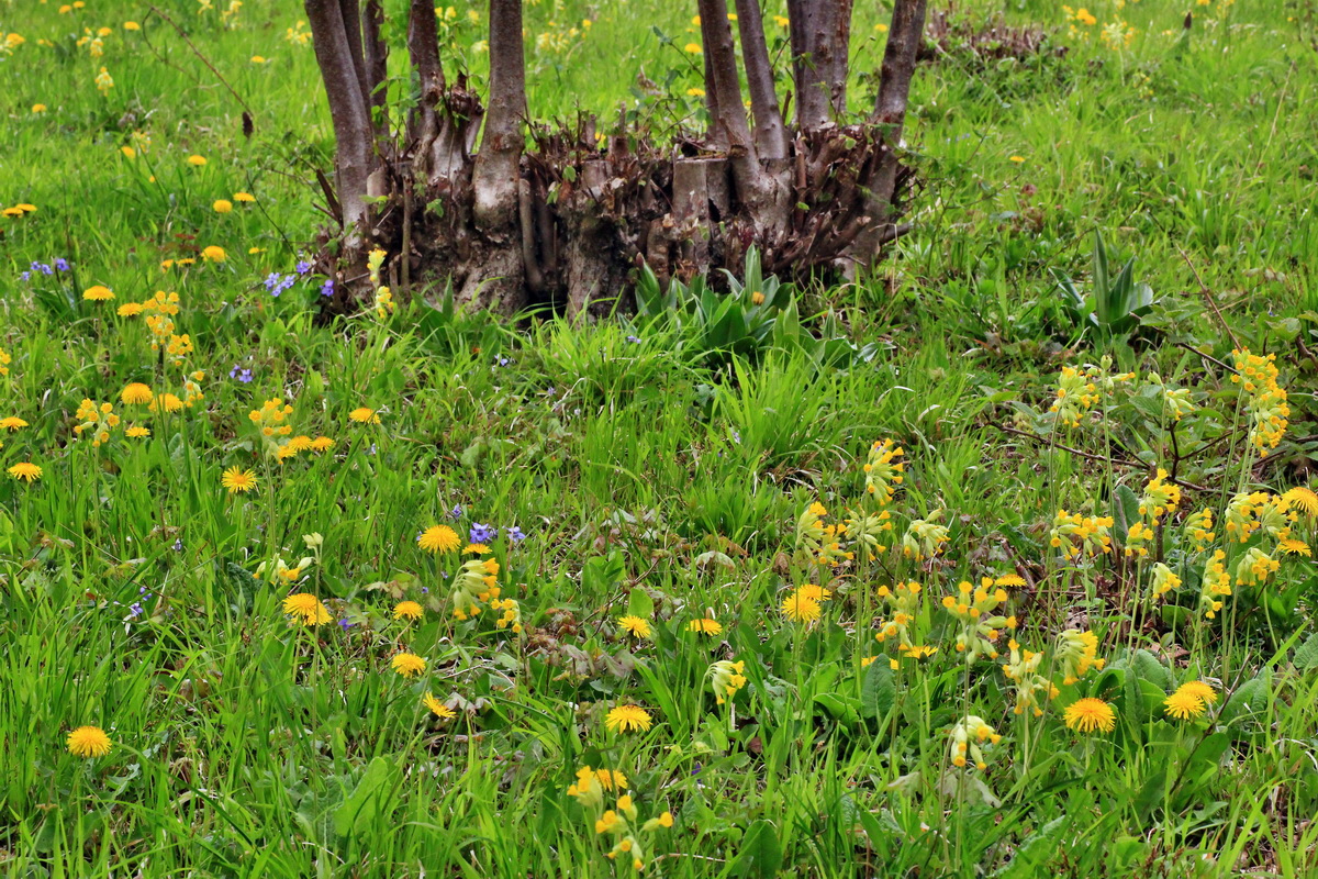 2015_04_25_00017939p_Bildgr��e �ndern