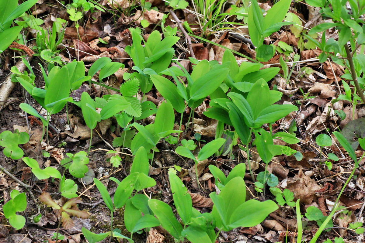 2015_04_25_00017943p_Bildgr��e �ndern