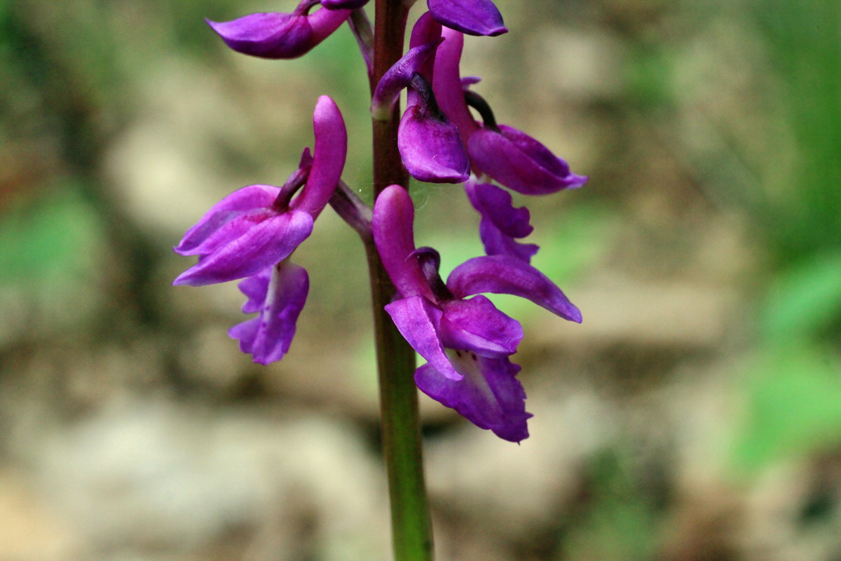 2015_04_25_00017945p_Bildgr��e �ndern