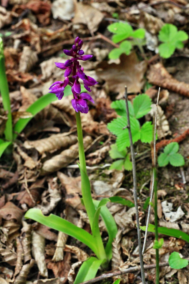 2015_04_25_00017947p_Bildgr��e �ndern