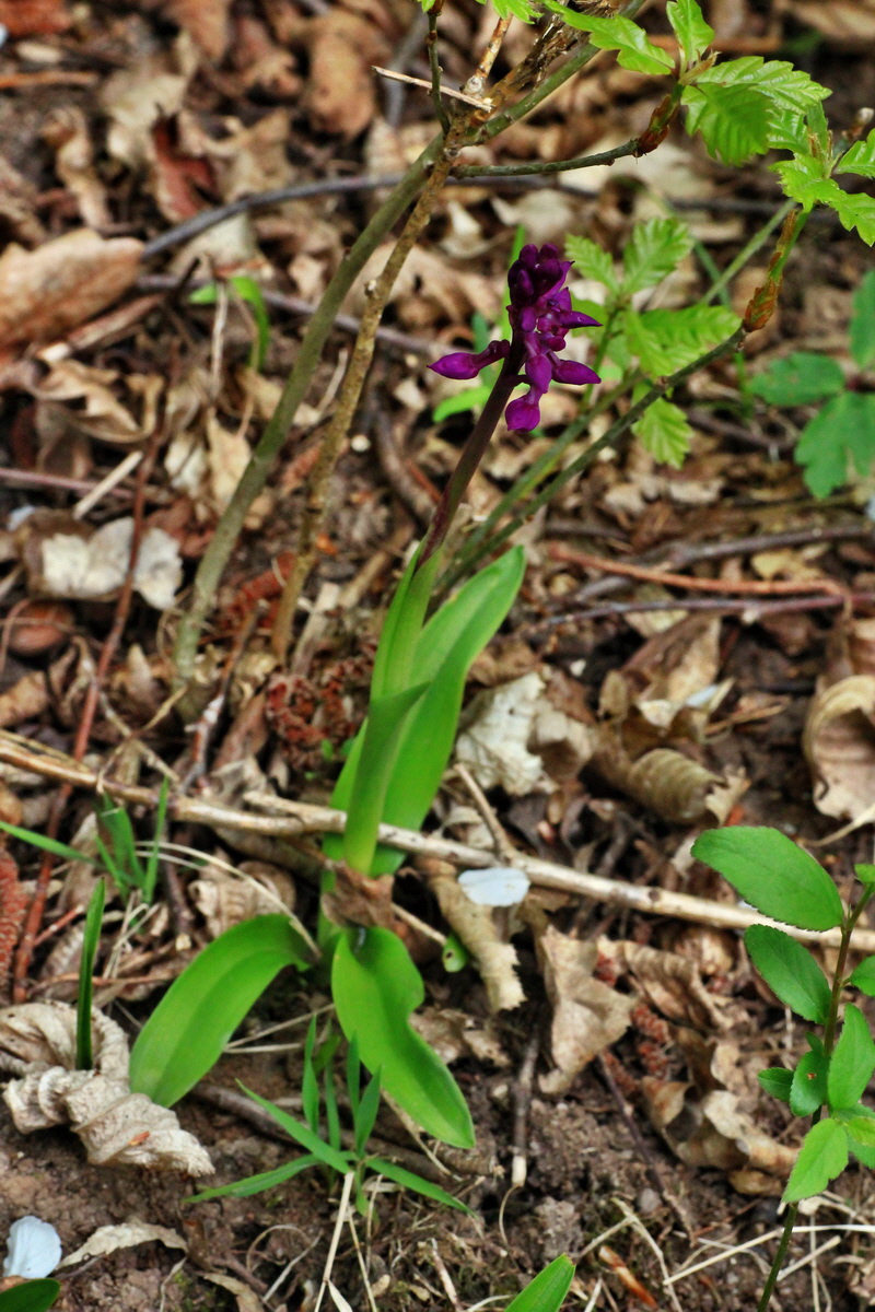 2015_04_25_00017951p_Bildgr��e �ndern