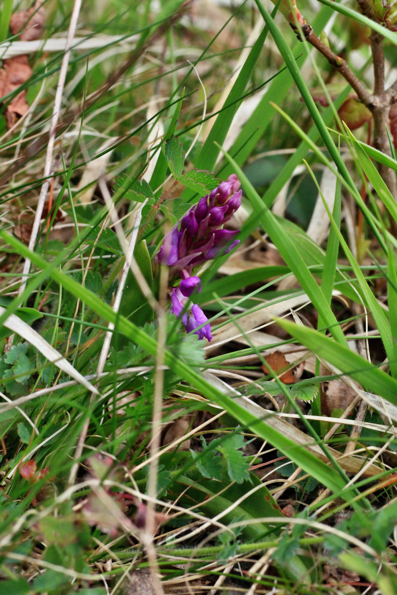 2015_04_25_00017953p_Bildgr��e �ndern