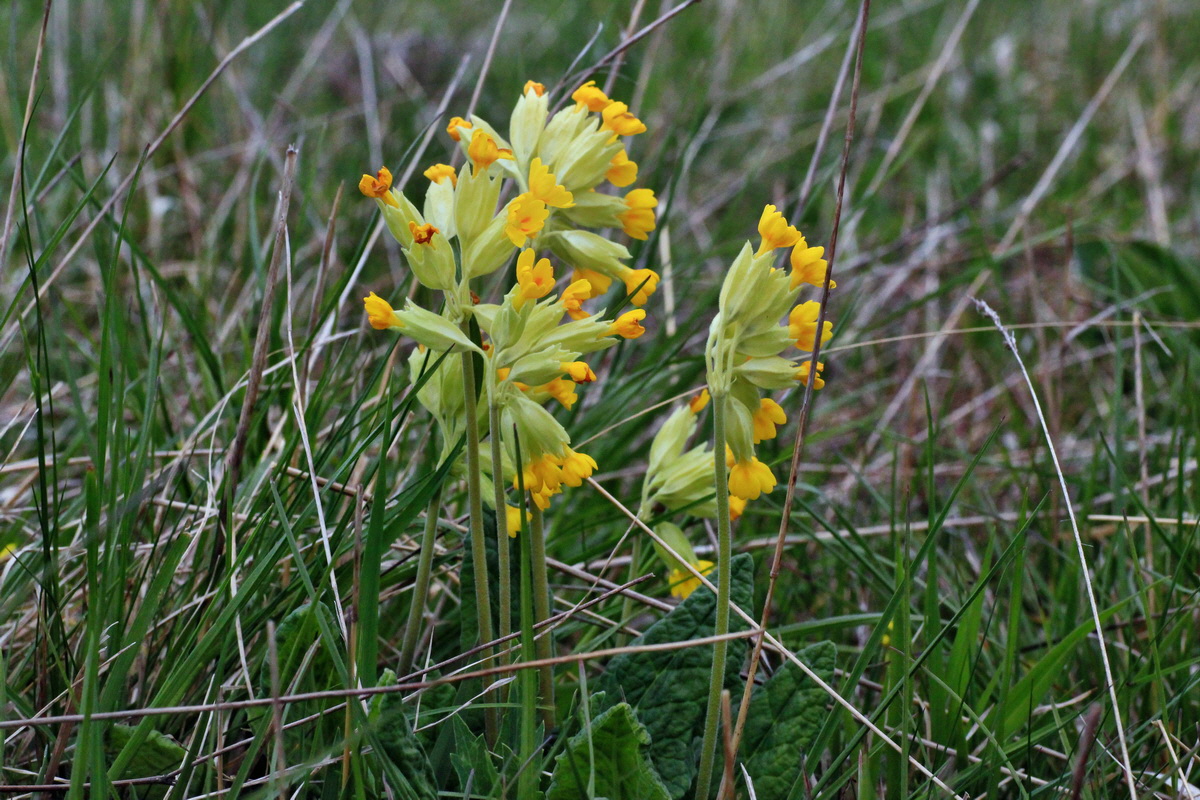 2015_04_25_00017959p_Bildgr��e �ndern