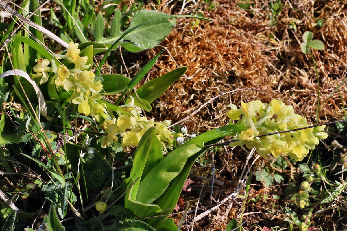 2015_04_29_00017971p_Bildgr��e �ndern